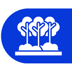 landscaping preserve preserve landscaping